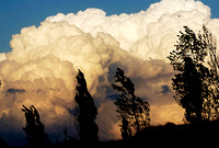 Don Campbell / H-P staff
A bank of cumulonimbus clouds gathers strength late Thursday, October 18, 2007, near Tiscornia Beach.