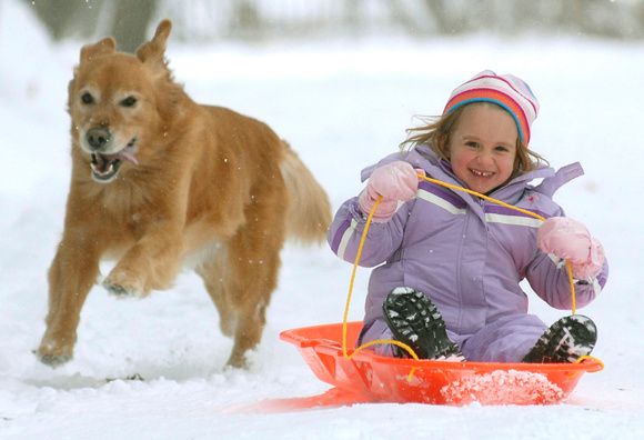 Don Campbell / H-P Staff
Three-year-old Sarah Warner, from Atlanta, Georgia, and her dog, Bailey, race down a hill at Kiwanis Park Tuesday, December 23, 2008. Sarah was in St. Joseph visiting relative