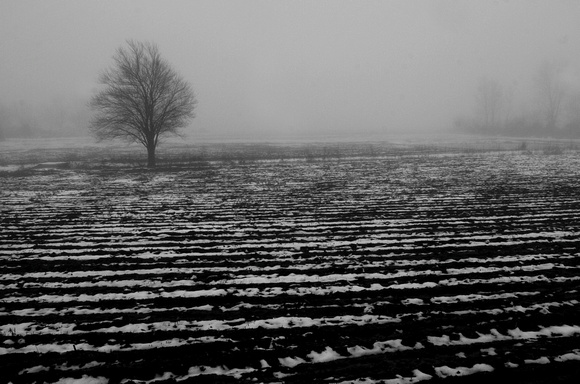 Don Campbell / H-P staff
A heavy fog settles over a field along John Beers Road in Stevensville early Wednesday morning.