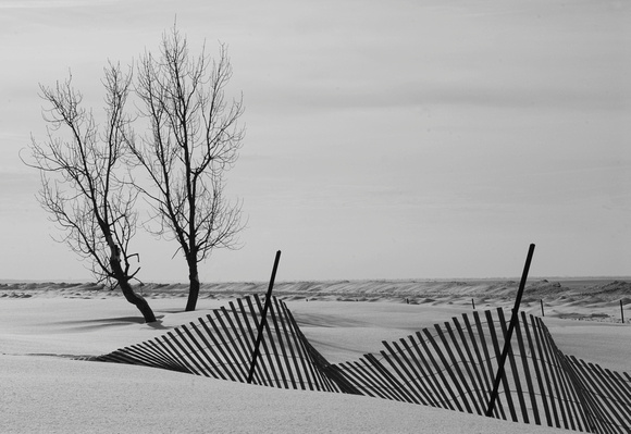 Snow drifts form along the shores of Lake Michigan at Warren Dunes State Park Monday, January 10, 2011.