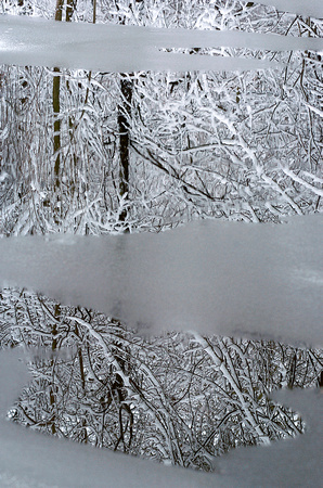 Don Campbell / H-P staff
Snow laden trees are reflected in the waters of the Paw Paw River in Watervliet Thursday, February 7, 2008.